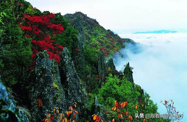 一起去安康看最美梯田、逛山水古城、探巴山秘境、品紫阳富硒茶吧