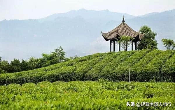 一起去安康看最美梯田、逛山水古城、探巴山秘境、品紫阳富硒茶吧