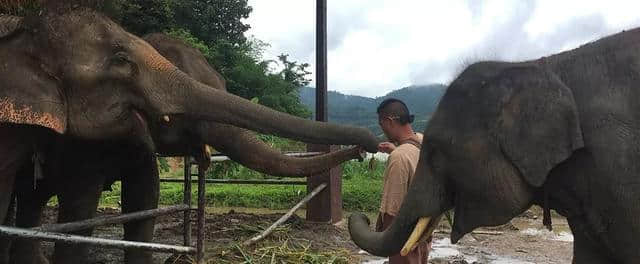 适合带着父母去清迈旅行的景点清单