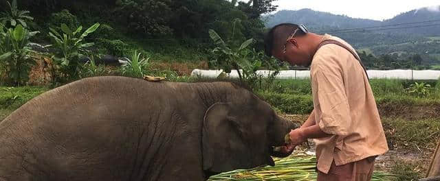 适合带着父母去清迈旅行的景点清单