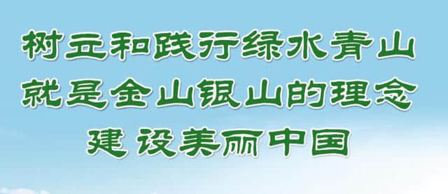 云浮南江第一湾被深圳公司看上了，拟打造高端旅游度假区