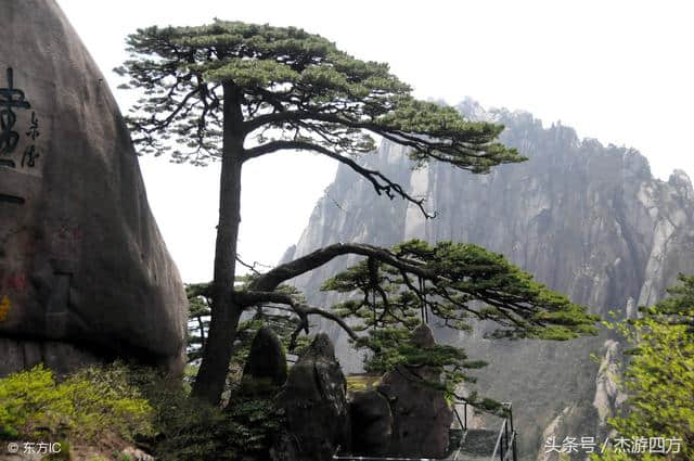 安徽黄山旅游景区门票价格一览，你们觉得贵不贵？