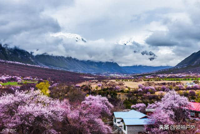 2019年林芝桃花节日期是几号？