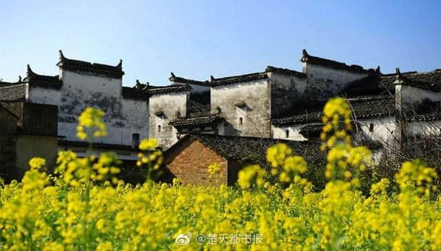 又一条高颜值旅游线来啦！武汉至景德镇婺源黄山将开直达动车