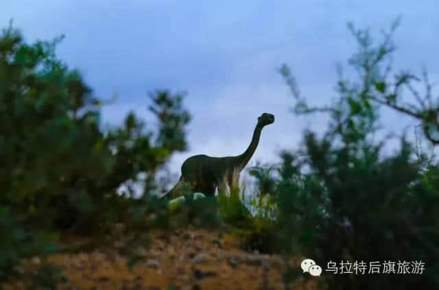 旅游众里寻他千百度，这里才是清明踏青的好去处