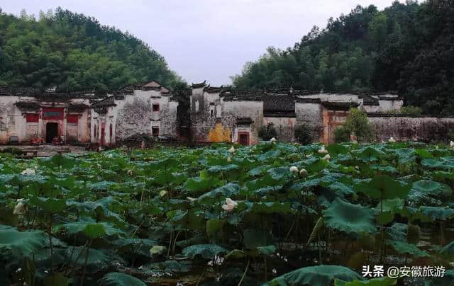 心安月谭风景道 夏日里的徽州梦