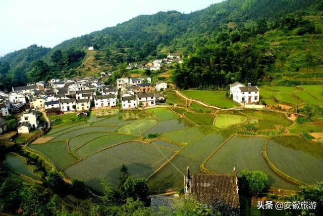 心安月谭风景道 夏日里的徽州梦