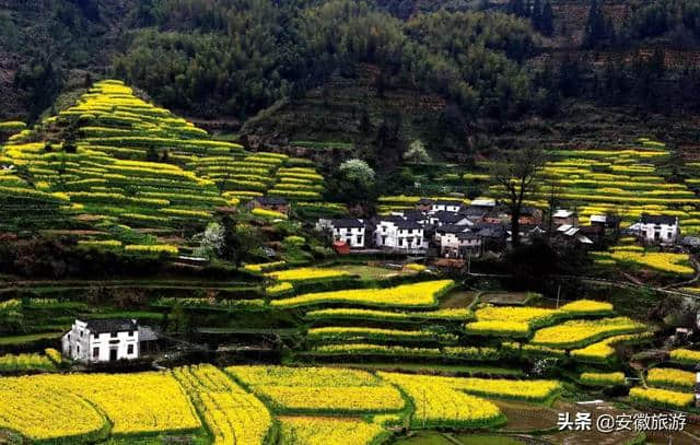 心安月谭风景道 夏日里的徽州梦