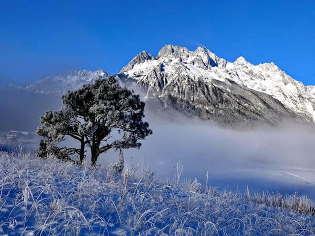 环游洱海，玉龙雪山：丽江-大理-香格里拉双飞6日经典游