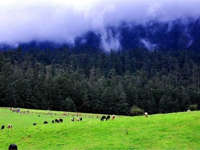 环游洱海，玉龙雪山：丽江-大理-香格里拉双飞6日经典游