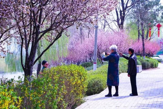 最美人间四月天，这才是清明节最值得去旅行的地方！