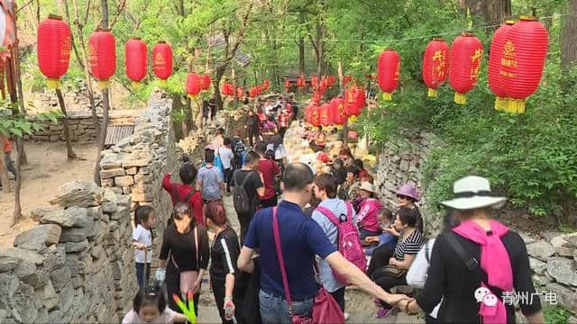 587万人次，56亿元！青州旅游交出上半年成绩单！