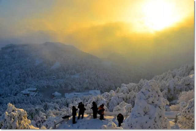 优秀！黄山旅游又双叒叕获奖啦！