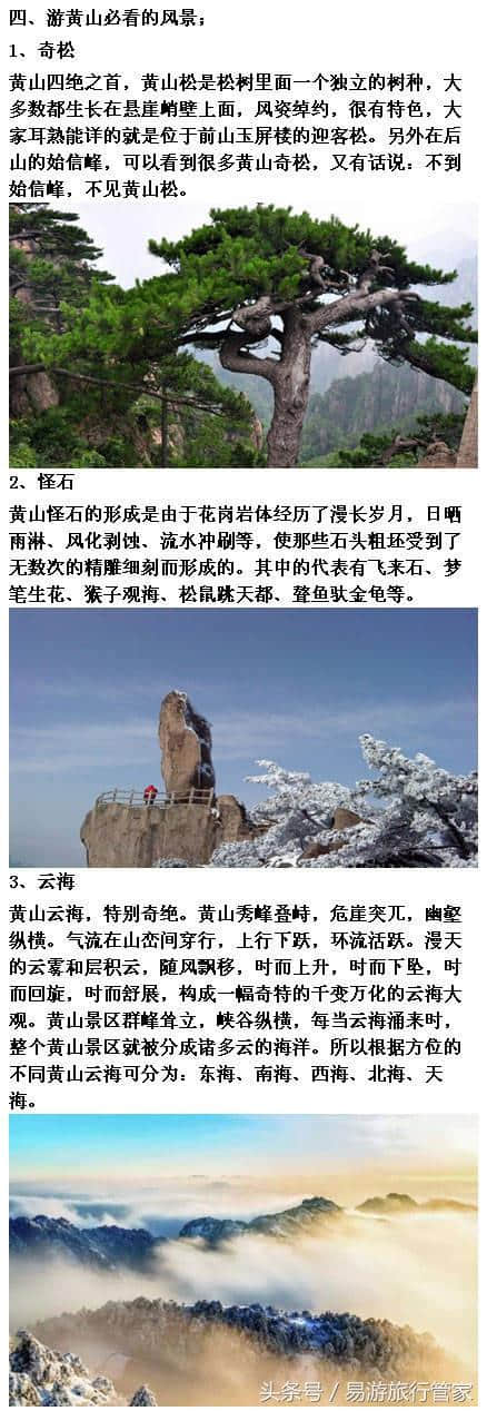 黄山自由行 黄山旅游攻略