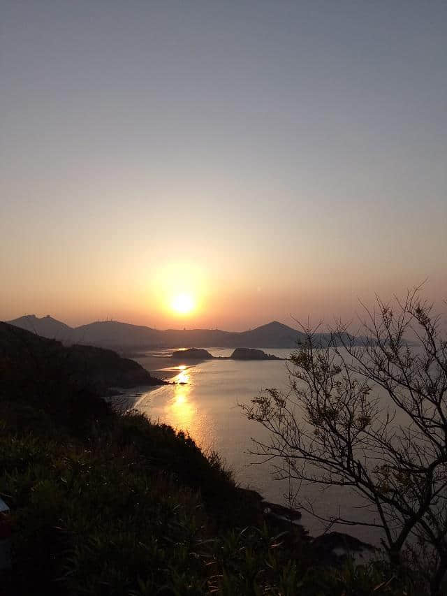 为了去枸杞岛旅游，凌晨两点半都要起床抢船票