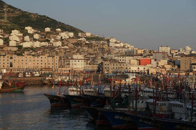 为了去枸杞岛旅游，凌晨两点半都要起床抢船票