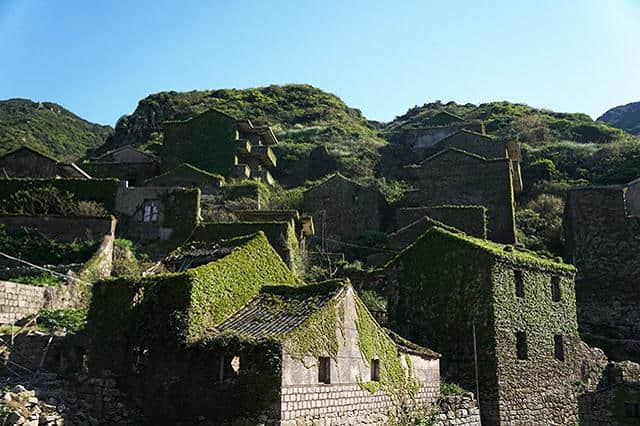 为了去枸杞岛旅游，凌晨两点半都要起床抢船票