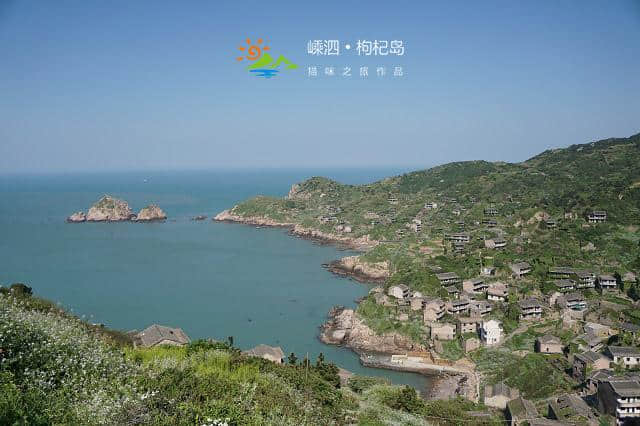 为了去枸杞岛旅游，凌晨两点半都要起床抢船票