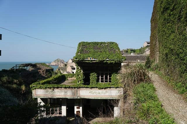 为了去枸杞岛旅游，凌晨两点半都要起床抢船票