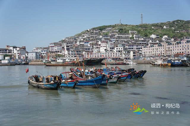 为了去枸杞岛旅游，凌晨两点半都要起床抢船票