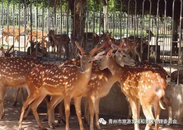 青州一免费景区顺利通过4A级旅游景区景观质量评审～