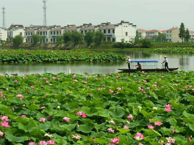 芜湖，你还去过哪些美景