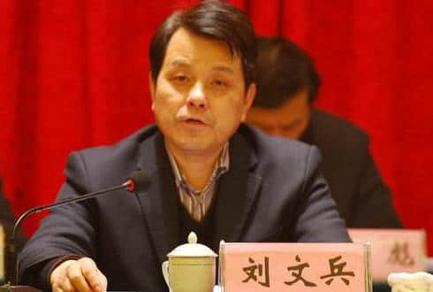 退休快5年 安徽省旅游集团有限责任公司原董事长刘文兵被查