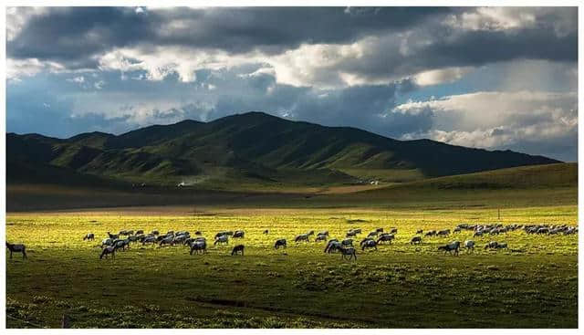 九色甘南旅行全攻略，这里神山圣水，还有人间秘境