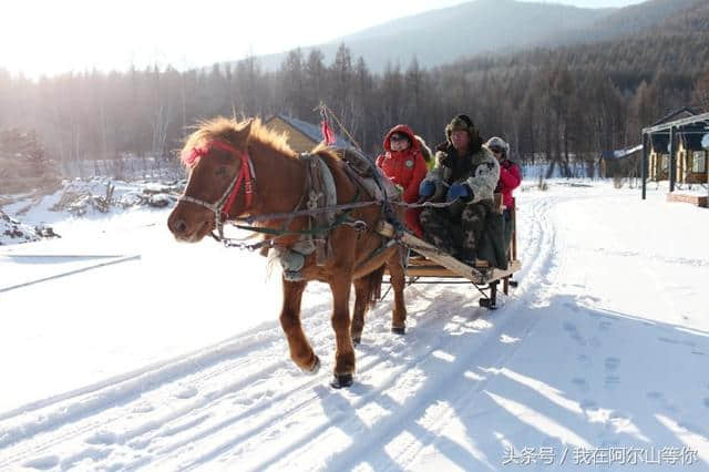 阿尔山冬季旅游攻略，吃住行游购娱全都有了