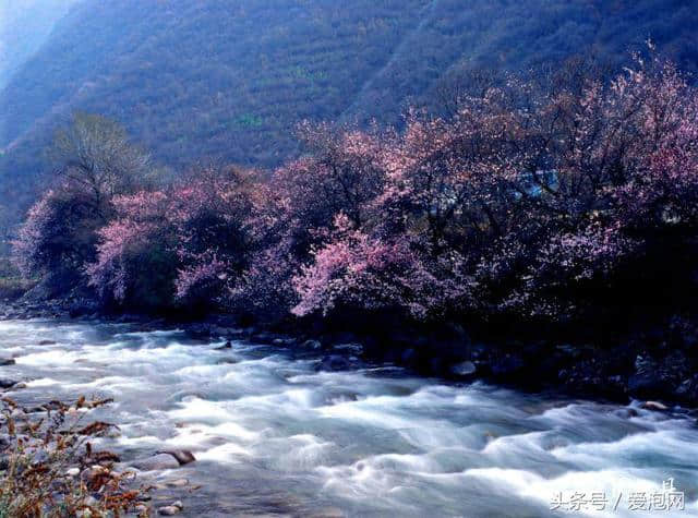 高原明珠，理想之县，这个暑假我去阿坝理县旅行，等你来