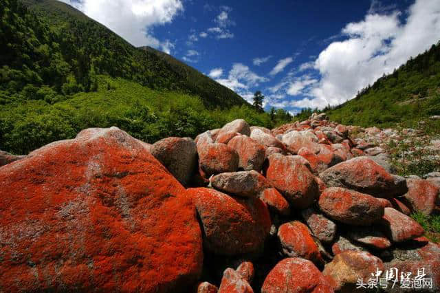 高原明珠，理想之县，这个暑假我去阿坝理县旅行，等你来