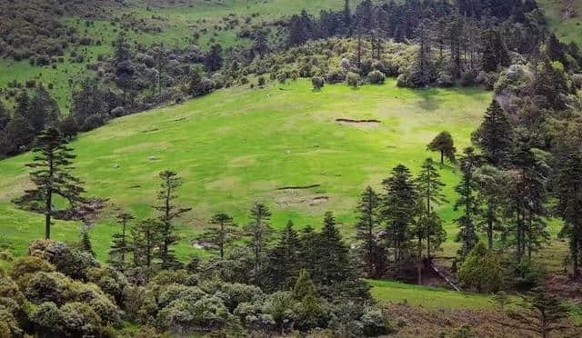 被遗忘的丽江秘境「老君山」门票交通指南