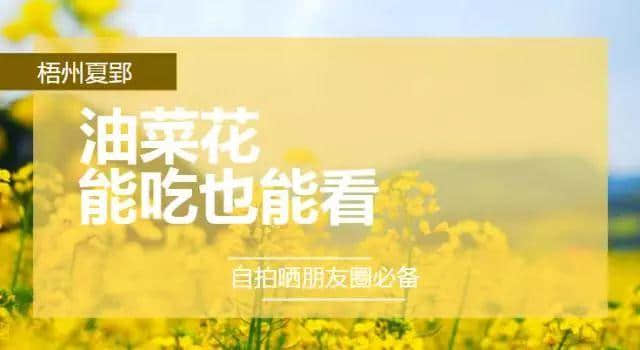 攻略｜《2019梧州赏花时间表》一起相约最美丽的“花样梧州”