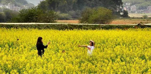 攻略｜《2019梧州赏花时间表》一起相约最美丽的“花样梧州”