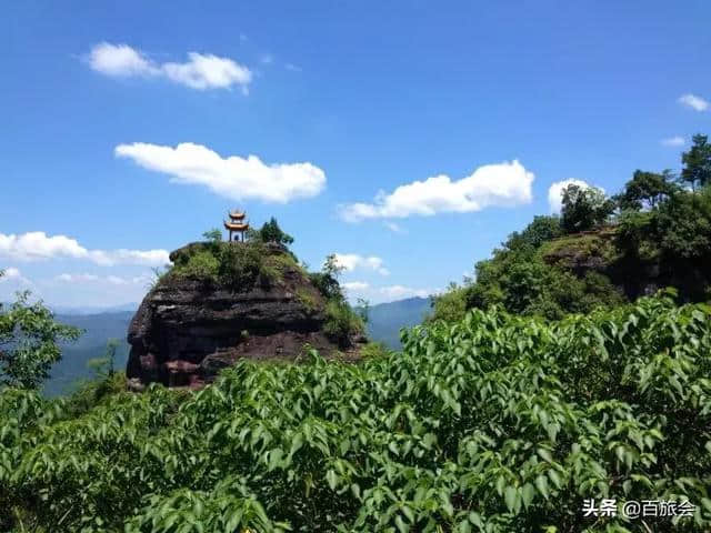 清明踏青别跑远！这几个好去处不要错过，好玩不扎堆！