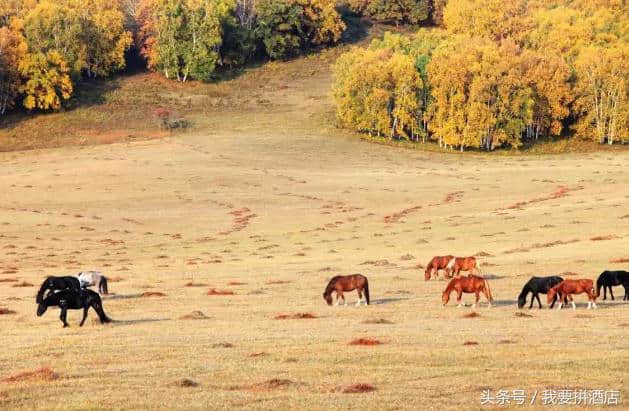 最适合10月去的国内旅行地推荐，不要去错地方哟！