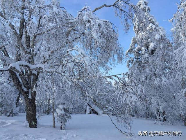 大秃顶子山，东方的阿尔卑斯山，俯瞰雪乡全貌