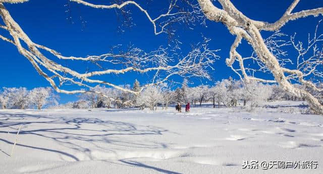 大秃顶子山，东方的阿尔卑斯山，俯瞰雪乡全貌