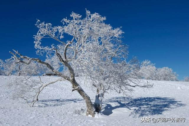 大秃顶子山，东方的阿尔卑斯山，俯瞰雪乡全貌