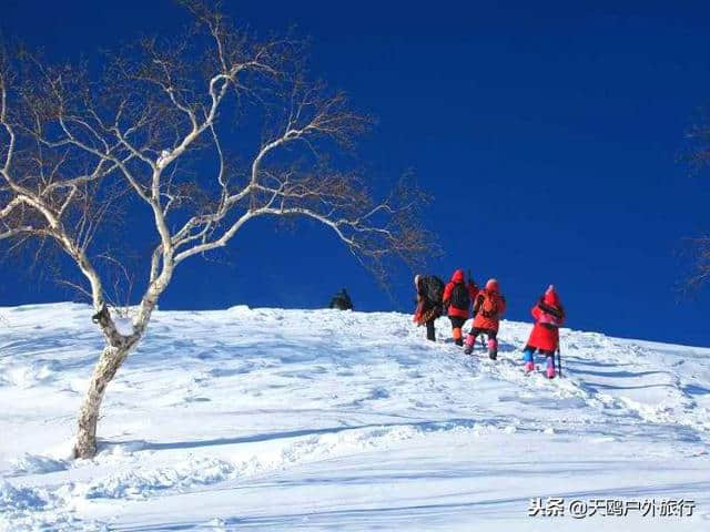 大秃顶子山，东方的阿尔卑斯山，俯瞰雪乡全貌