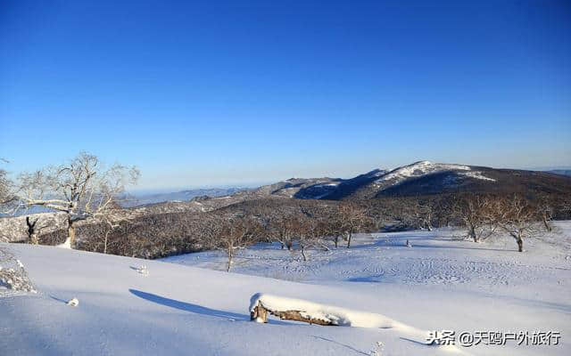 大秃顶子山，东方的阿尔卑斯山，俯瞰雪乡全貌