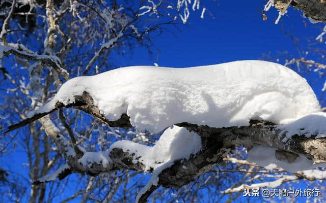 大秃顶子山，东方的阿尔卑斯山，俯瞰雪乡全貌