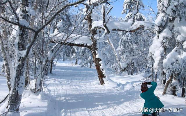 大秃顶子山，东方的阿尔卑斯山，俯瞰雪乡全貌