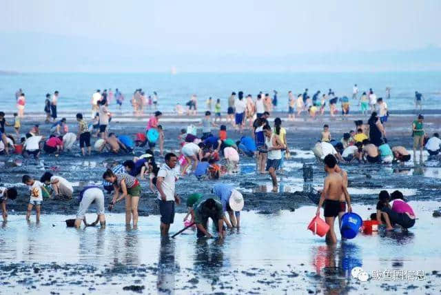 炎炎夏日，盖州黄金海岸游最强攻略