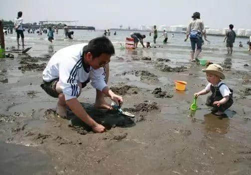 炎炎夏日，盖州黄金海岸游最强攻略