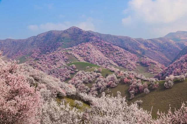 2019最新旅游“避雷”指南：呵呵！看完这些，我只想瘫在家里……