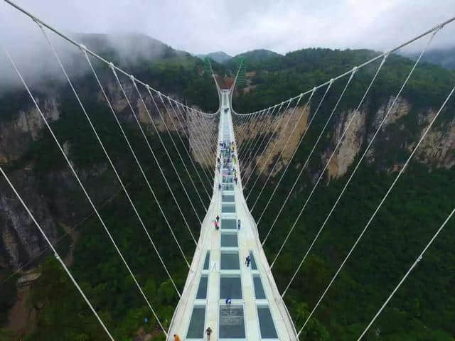 2019最新旅游“避雷”指南：呵呵！看完这些，我只想瘫在家里……