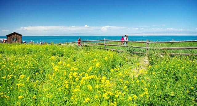 环青海湖旅游（自驾游，骑行）最强攻略