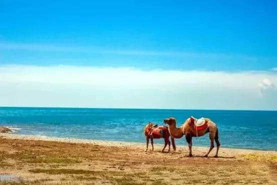 点赞！青海这两大景区列入跨城旅游热门景区排行榜