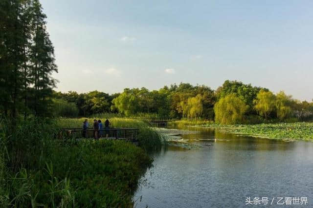 最美无锡，这几个旅游景点不能错过，爱旅游的一定去看看